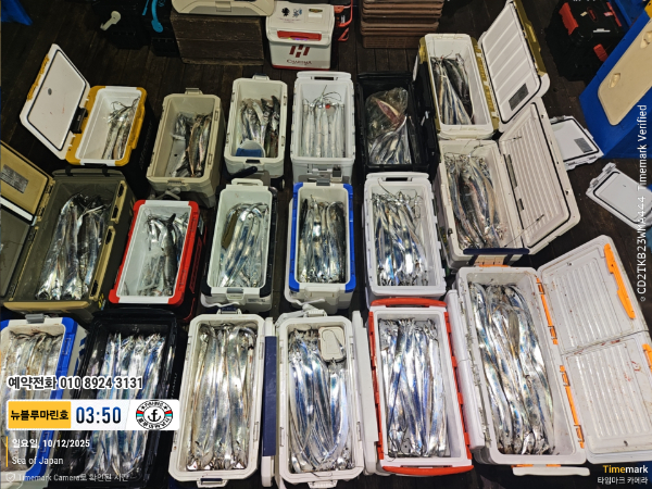 2025-10-12 03.50.00_Japan_(제목-뉴블루마린호)_(예약전화 010 8924 3131).jpg