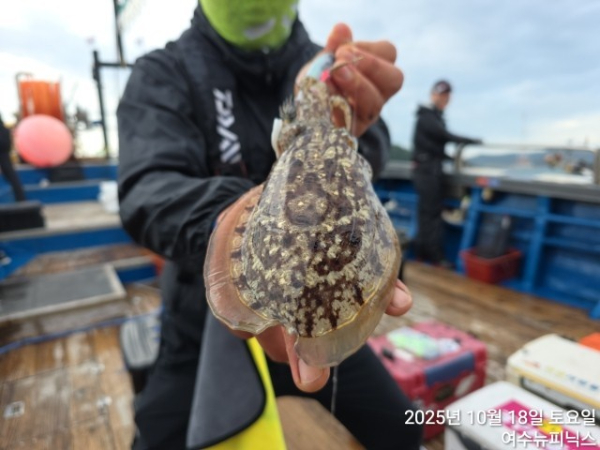 10월18일갑이 (1).jpg