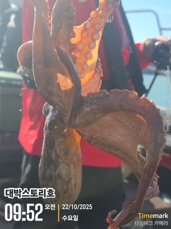 2025-10-22 09.52.55__(대박스토리호).jpg