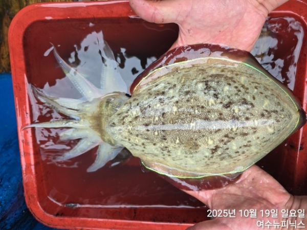 10월19일갑이 (11).jpg