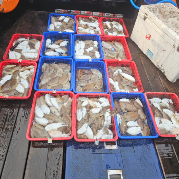 마검포 대한호(VIP)_사진_20251031_5.jpg