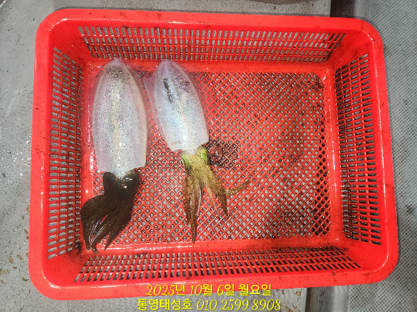 cb350763eafb65dfab2b471dfc2c66fb.jpg