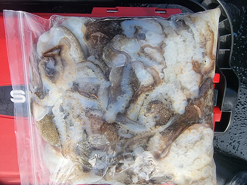 인천쭈꾸미낚시 (19).jpg