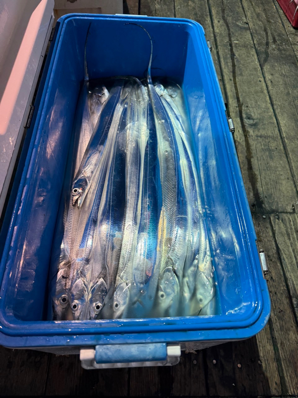 제주 쏘니호_사진_20251007_12.jpg