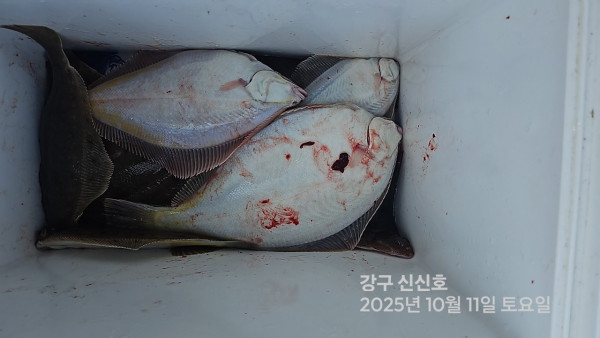 신신낚시 강구점 신신호_사진_20251012_7.jpg