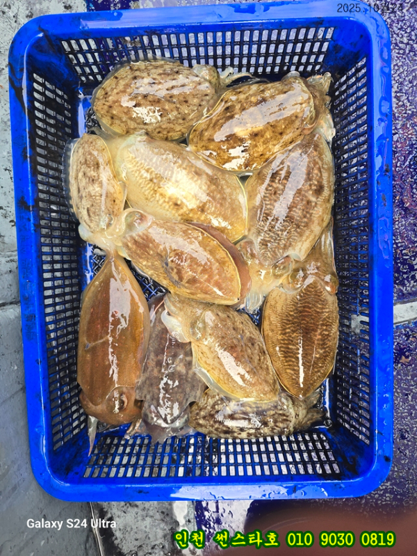 10월24 썬 (12).jpg