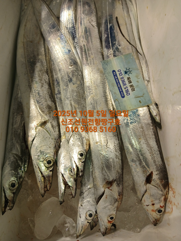 KakaoTalk_20251005_140543918_06.jpg