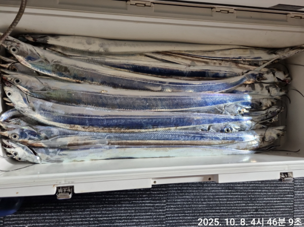 cd22fcaf5d12b84ed73beca4e030cb71.jpg