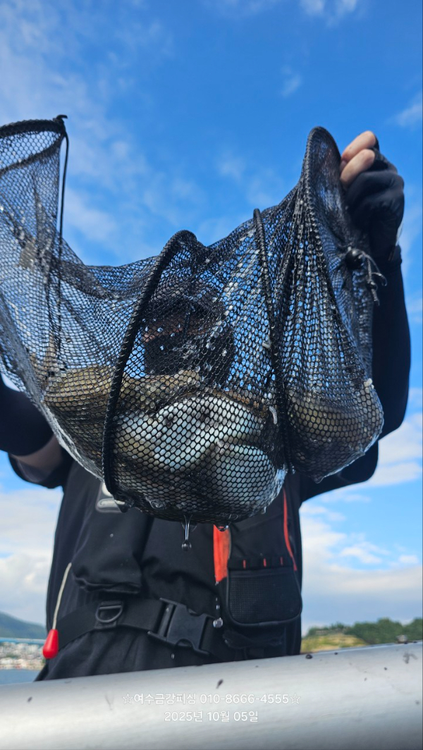 여수금강피싱_사진_20251005_15.jpg