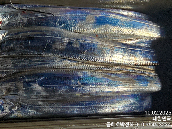 cd9bcd7072601dbda2c7faf76e5ae423.jpg