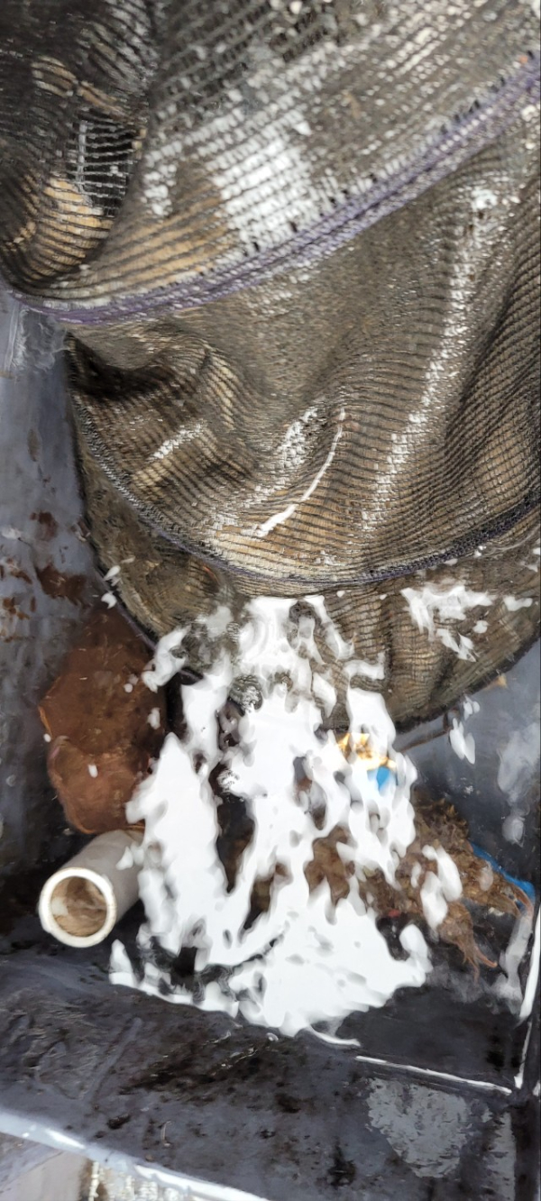 예지퀸호 농어외수질&어초낚시 경기인천권_사진_20251018_10.jpg