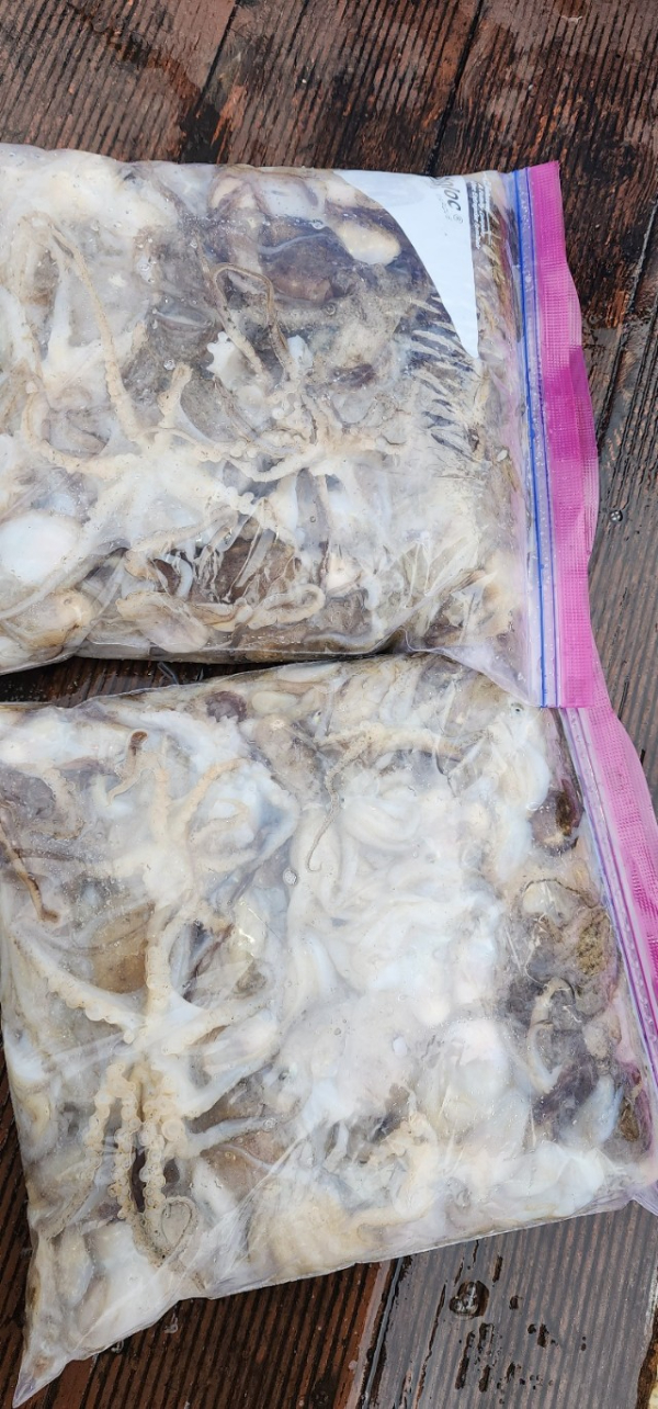 예지퀸호 농어외수질&어초낚시 경기인천권_사진_20250930_8.jpg