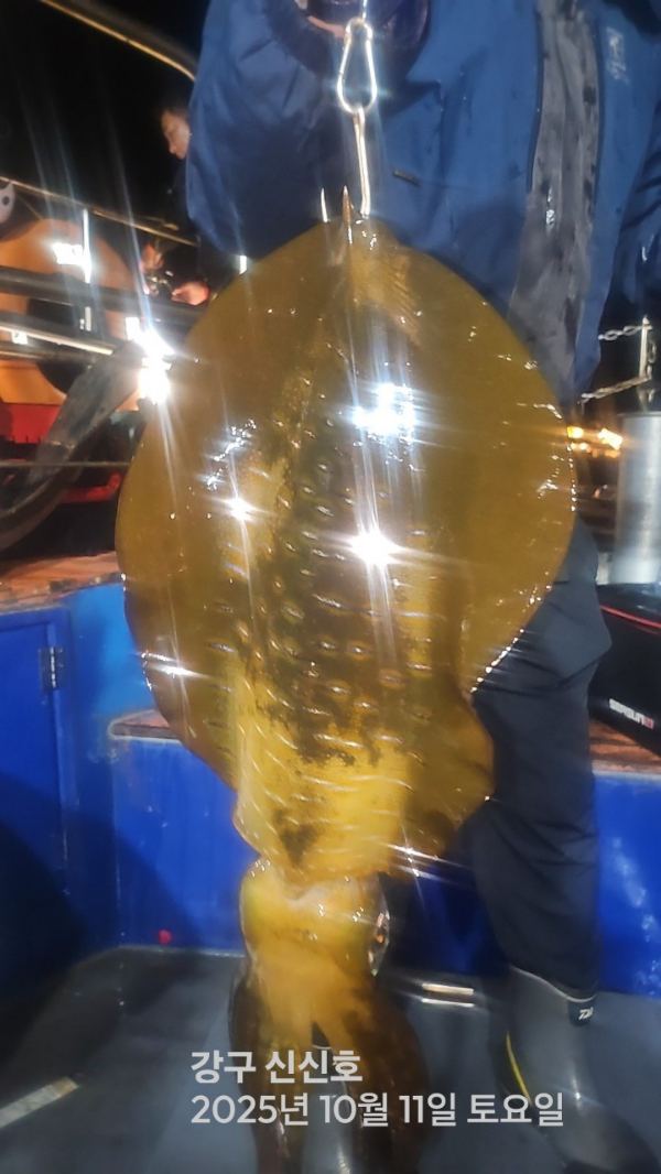 신신낚시 강구점 신신호_사진_20251012_6.jpg