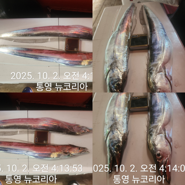 1000072965.jpg