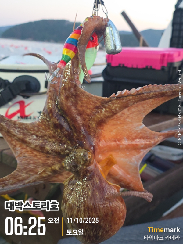 2025-10-11 06.25.01__(대박스토리호).jpg