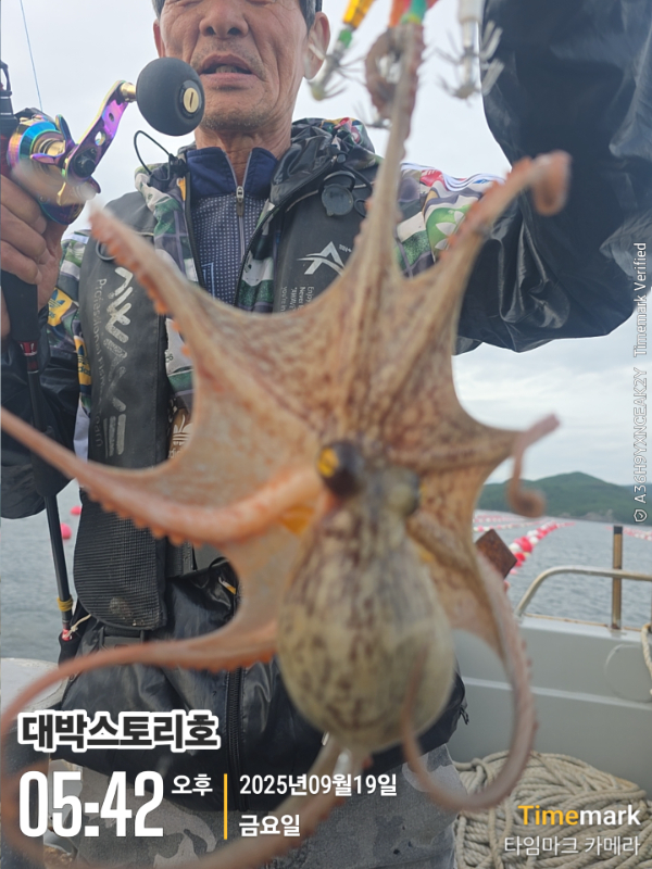 2025-09-19 05.42.47__(대박스토리호).jpg