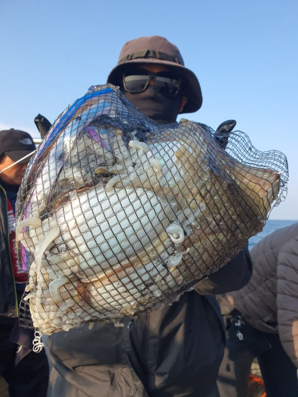 군산 선상낚시, 바다낚시 출조 전문 ☆서군산낚시☆_사진_20251031_3.jpg