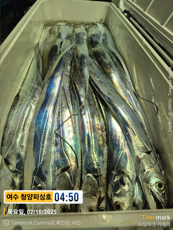 2025-10-02 04.50.05__(제목-여수 청양피싱호).jpg