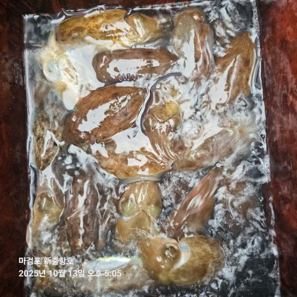 ꫛꫀꪝ✧‧˚ 태안 마검포 新출항호 .• _˚☀₊_사진_20251013_16.jpg