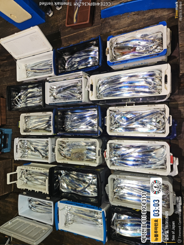 2025-10-31 03.03.56_Japan_(제목-뉴블루마린호)_(예약전화 010 8924 3131).jpg