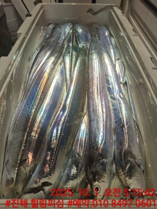 KakaoTalk_20251001_094549079.jpg