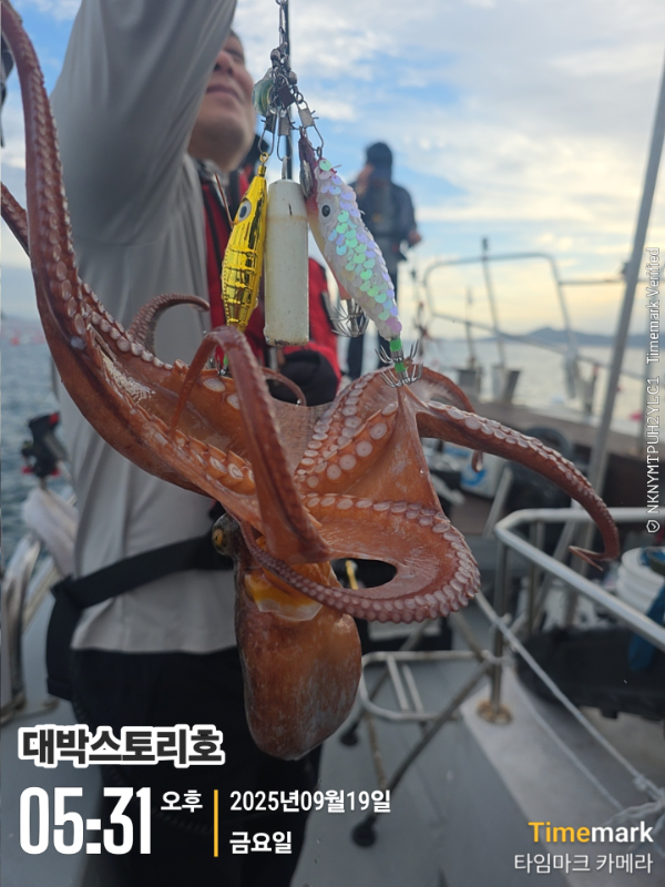 2025-09-19 05.31.53(1)__(대박스토리호).jpg