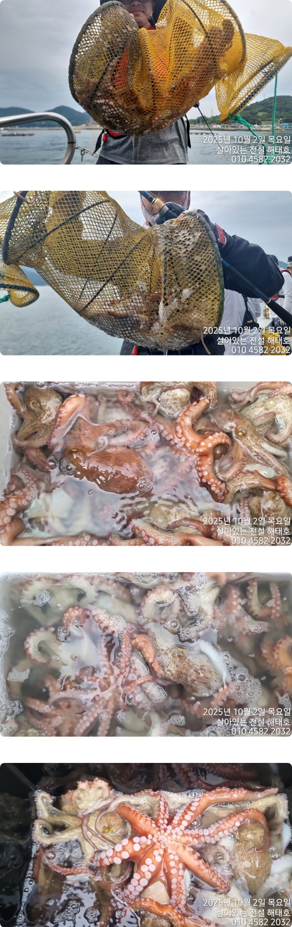 JPG2.jpg