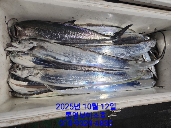 d4cb33854bbbdc1ae34710660acbb61e.jpg