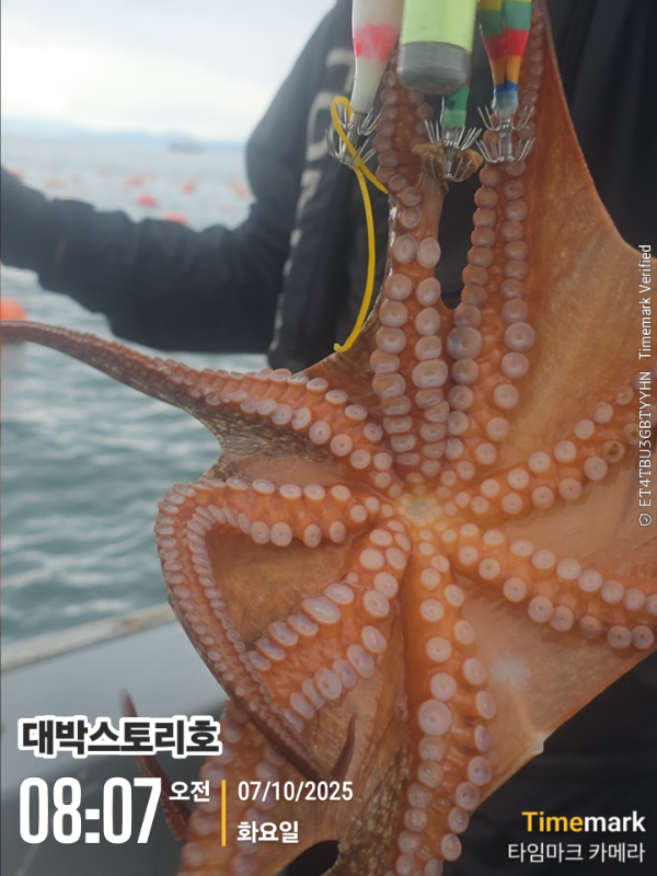 2025-10-07 08.07.45__(대박스토리호).jpg