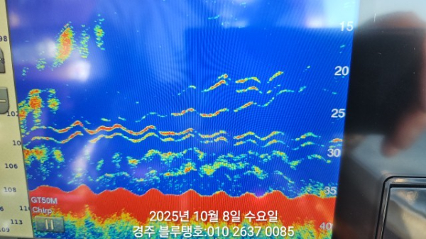 20251008_164040.jpg