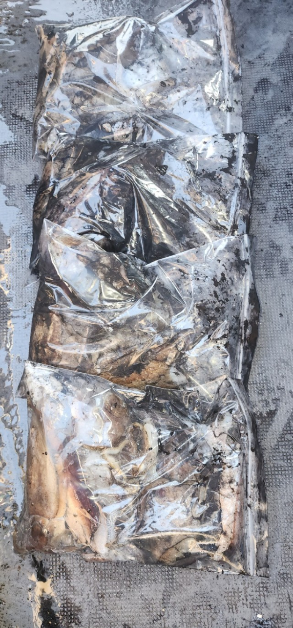 예지퀸호 농어외수질&어초낚시 경기인천권_사진_20251029_14.jpg