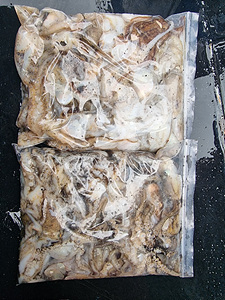 인천쭈꾸미낚시 (20).jpg