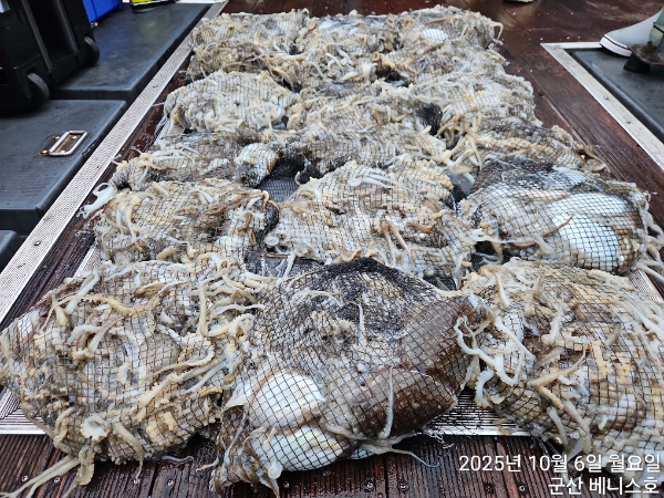 KakaoTalk_20251006_153228704 (1).jpg