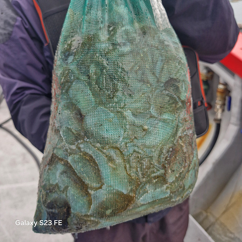 인천쭈꾸미낚시 (10).jpg