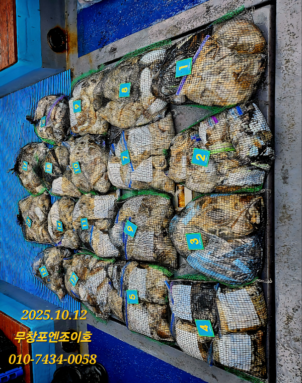 Screenshot_20251012_152716_Gallery.jpg