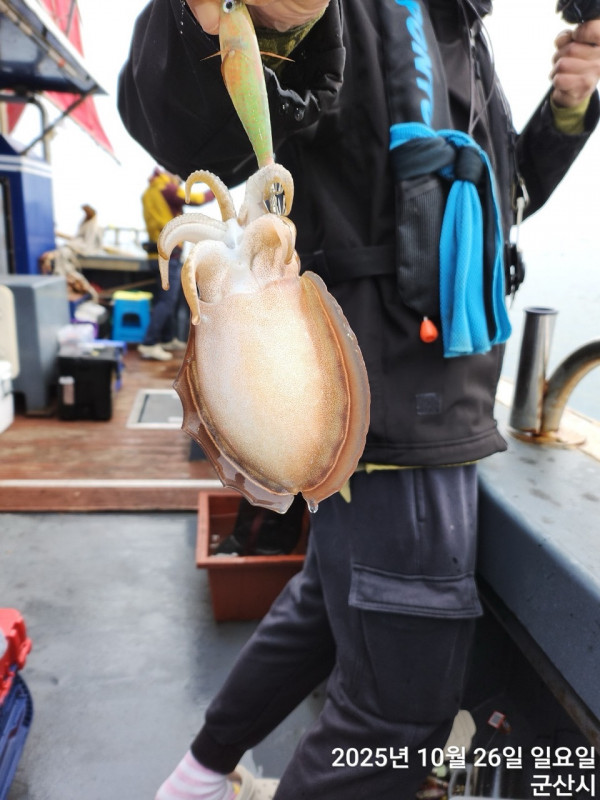 군산 선상낚시, 바다낚시 출조 전문 ☆서군산낚시☆_사진_20251026_8.jpg