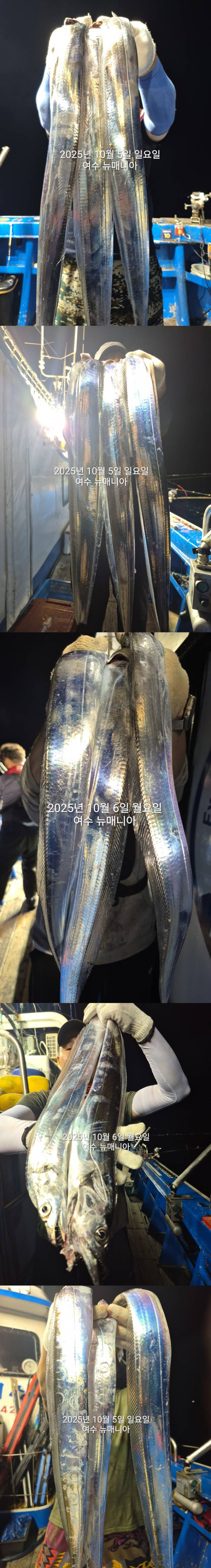 KakaoTalk_20251006_073834058_13-vert.jpg