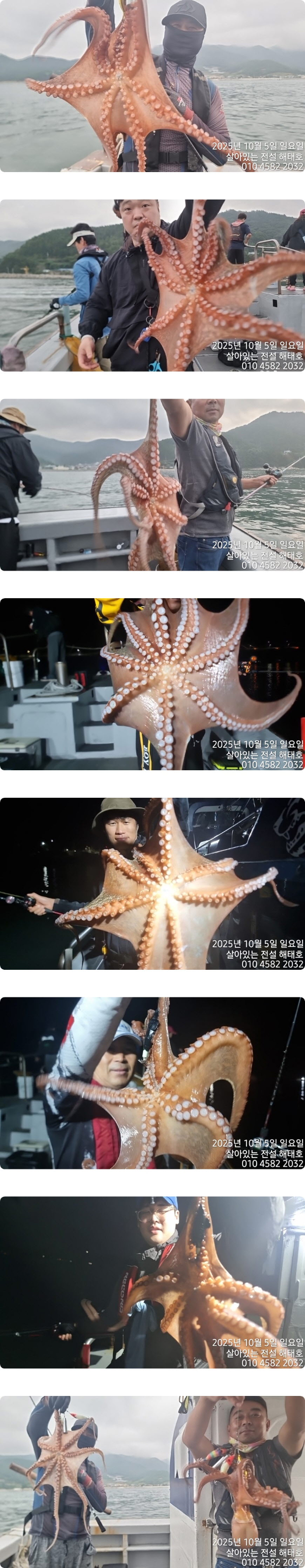 JPG1.jpg