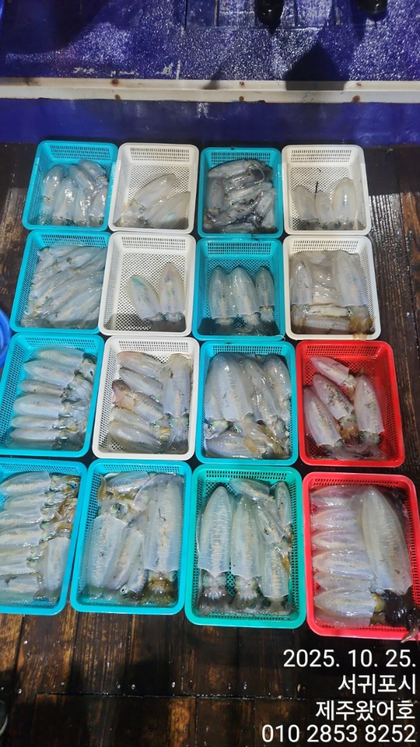 제주왔어호_사진_20251026_1.jpg