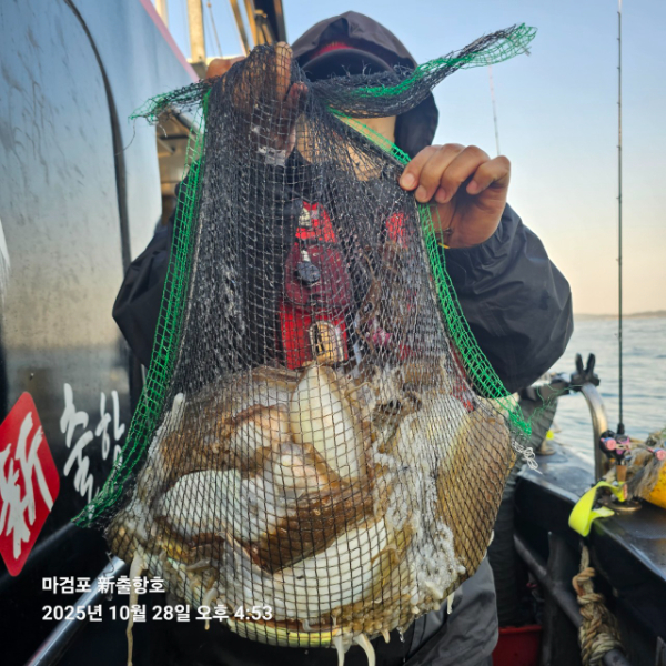 ꫛꫀꪝ✧‧˚ 태안 마검포 新출항호 .• _˚☀₊_사진_20251028_4.jpg