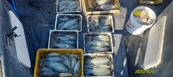 DateCamera1001091204.jpg