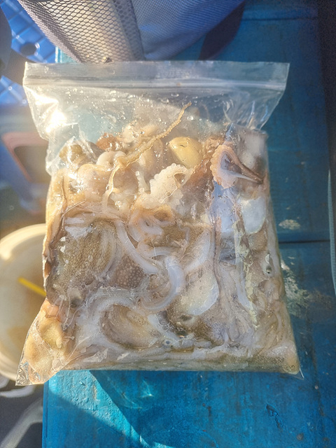 인천쭈꾸미낚시 (8).jpg