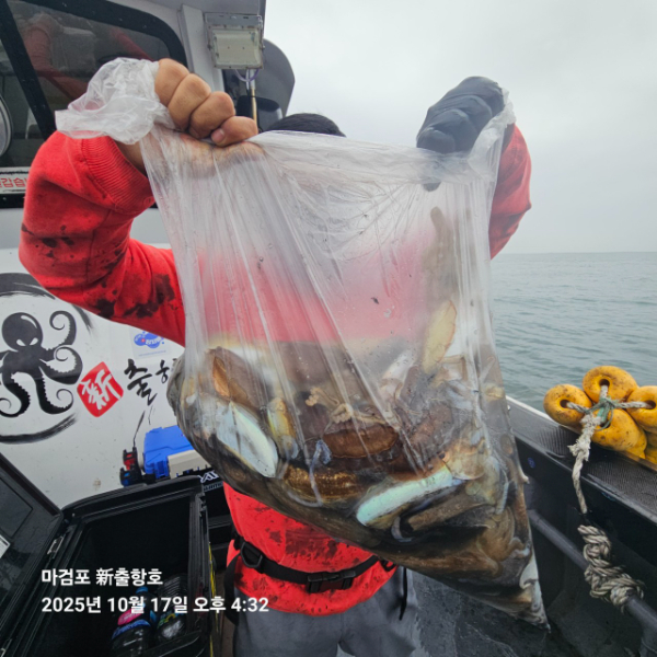 ꫛꫀꪝ✧‧˚ 태안 마검포 新출항호 .• _˚☀₊_사진_20251017_10.jpg