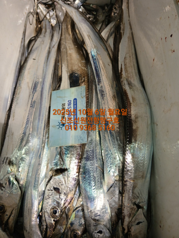 KakaoTalk_20251007_044104424_02.jpg