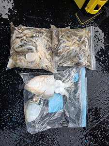 인천쭈꾸미낚시 (38).jpg