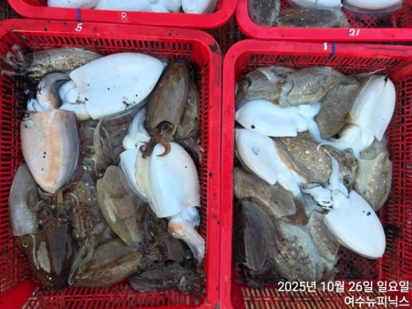 10월26일갑이 (23).jpg