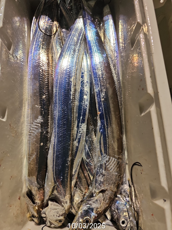 E2F6E313-D304-41EA-939F-F5561CC5A437.jpeg