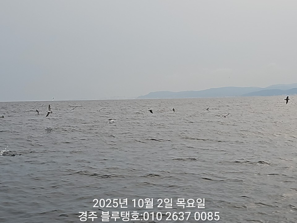 20251002_171847.jpg