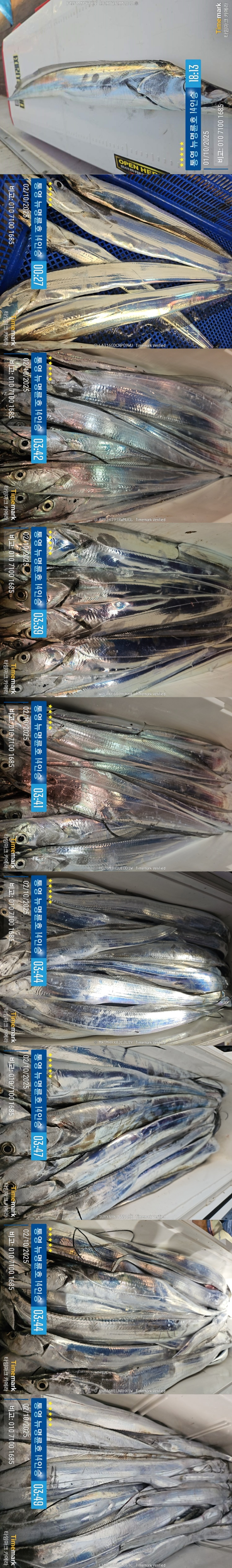 10-2갈치2.jpg