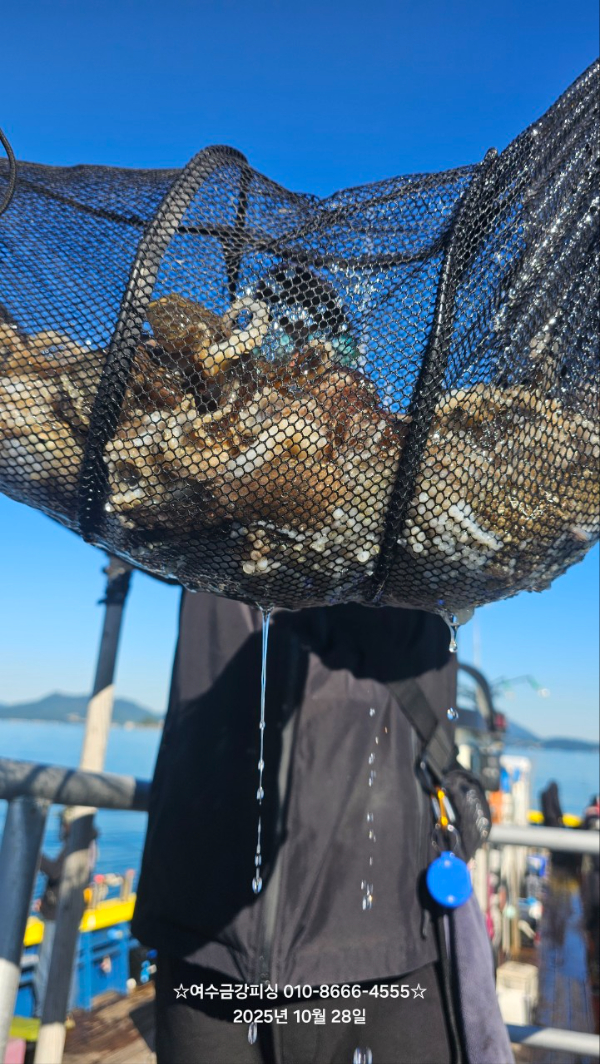 여수금강피싱_사진_20251028_3.jpg